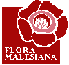to Flora Malesiana