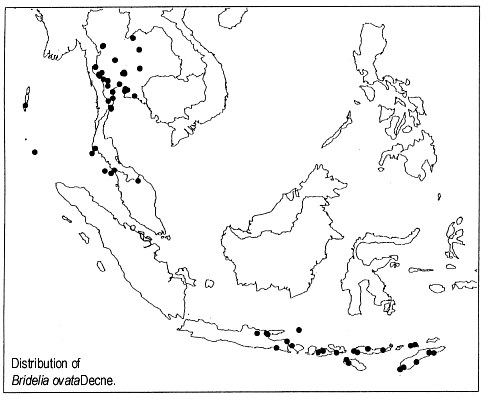 Indonesia Map Coloring Page