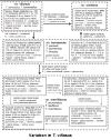 Trigvill-scheme.gif (54991 bytes)