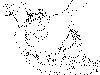 Trigphil-map2.gif (14722 bytes)